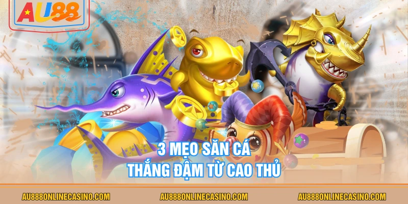 3 mẹo săn cá thắng đậm từ cao thủ