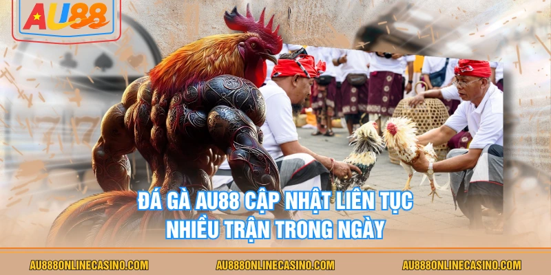 Đá gà AU88 cập nhật liên tục nhiều trận trong ngày