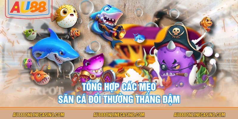 Tổng hợp các mẹo săn cá đổi thưởng thắng đậm